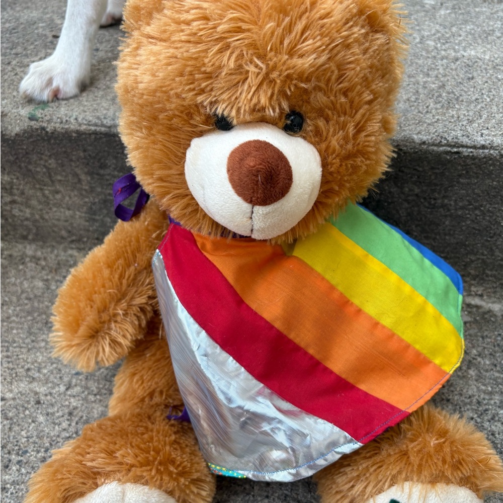 Bear with a rainbow cape